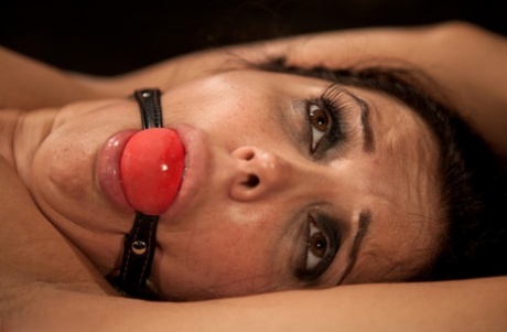 Maitresse Madeline tops Francesca Le during lezdom play in a dungeon 60493581